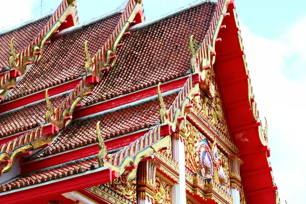 daniel-bigalke--Mi7tmBm_eU-unsplash_result